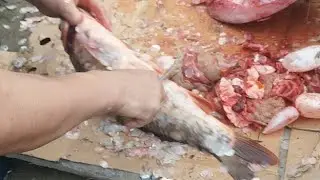 Расийский Балик