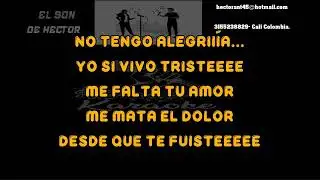 DESDE QUE TE FUISTE  EL ANDARIEGO  KARAOKE DEMO  2024   322  PISTA ORIGIAL