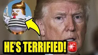 Trump CHICKENS OUT in STUNNING Move
