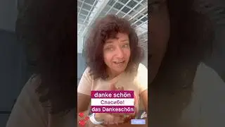 A1 🇩🇪 danke schön VS das Dankeschön 🇩🇪 