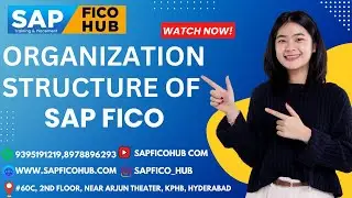 ORGANISATION STRUCTURE OF SAP FICO