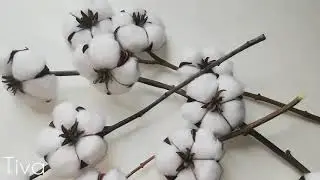 Хлопок своими руками! Делаем ветку с хлопком!