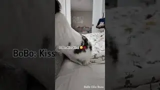 How my bunny cheering (waking) me up 🐰💕