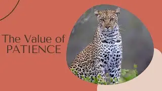 The Value of Patience   Why taking your time WILL pay off!