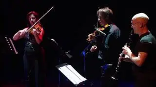Wim Mertens - Wie Mich Dünckt