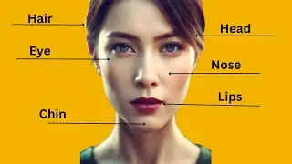Parts of the body in english |  Body Parts Vocabulary for Kids | Human body parts 