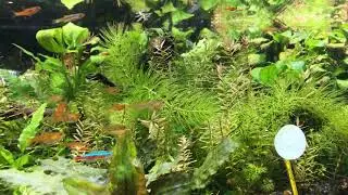 IMG 2 25 1 21 13 58 52