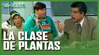 El Chavo del 8: La clase de plantas