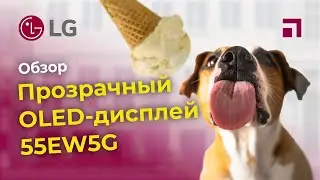 Прозрачный дисплей LG