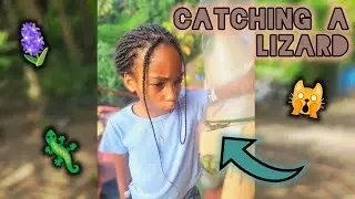 I caught a lizard! 😧🦎💚