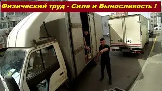 Физический Труд - Сила и Выносливость !