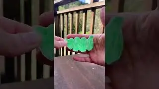 HOW TO MAKE A DIY PEA POPPER #shorts