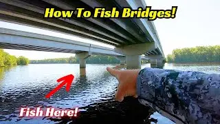 How To Properly Fish Bridges! Fish These 4 Main Targets!