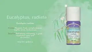 2024 Aromatherapy: 15 Oils Descriptions | Foundation Course | HD