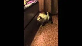 Мотя открывает в себе талант (Омномном)
