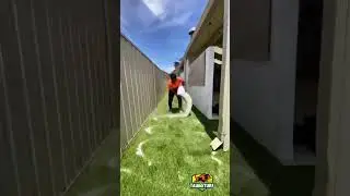 Process of Artificial Turf Installation 🤯 #shorts