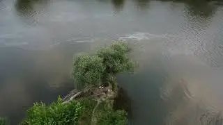 odra ratowice DJI MINI 2