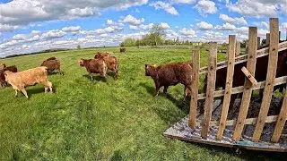 Stores Go Out To Grass!