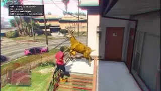 Average day in gta , Random clips