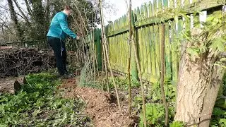 Weidenzaun stecken - Voliere bauen - was ist mit den Küken?