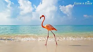 Ейск: гостевой дом на берегу моря!!!