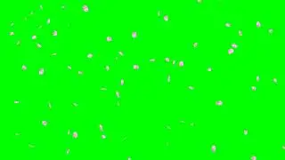 Falling Cherry Blossom Petals No.1 HD Animation - green screen effect 　桜の花吹雪