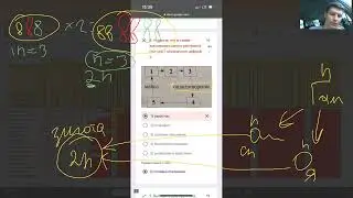 плоидность. цикл спорофит гаметофит. разбор вопросов цт биология