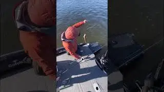 Весенние судаки.