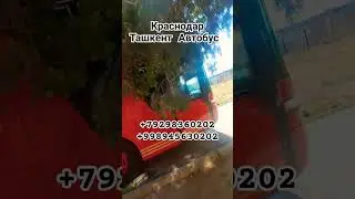 Краснодар #тошкент #автобус #ташкент #автобус #анапа #тошкент #новороссийск #крим #тошкент #автобус