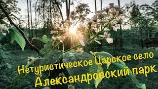 Александровский парк