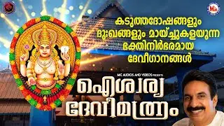 കടുത്തദോഷങ്ങളും ദുഃഖങ്ങളും മായ്ച്ചുകളയുന്ന ഭക്തിനിർഭരമായ ദേവീഗാനങ്ങൾ|Devi Devotional Songs Malayalam