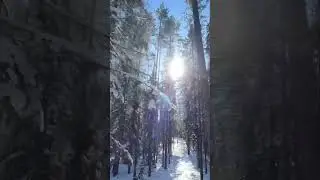 Красиво, но плохо слышно