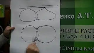 №5 Шаг капельницы капельной ленты. Полоса смачивания.