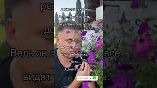 23 июля 2024 г.