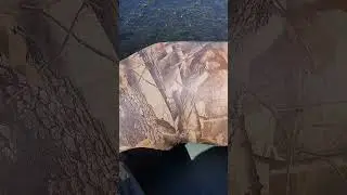 Гадёныш.