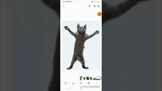 Кот танцует 1 час под мяу паупаупау пау!!! Подпишись!!!