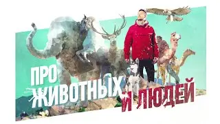 "Про Животных и Людей" промо ролик линейки программ