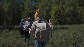 Hiking Stock Video 2 | FREE STOCK VİDEO 4K | NO COPYRİGHT VİDEO | 2021