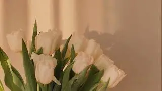 𝐁𝐓𝐒-𝐬𝐚𝐯𝐞 𝐦𝐞 [𝐩𝐢𝐚𝐧𝐨 𝐯𝐞𝐫] ( 𝐬 𝐥 𝐨 𝐰 𝐞 𝐝 )