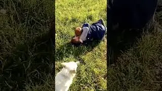 драка обьзбян