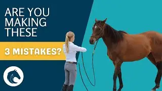 Three Common Mistakes in Horse Training and How to Fix Them