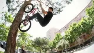 bmx005