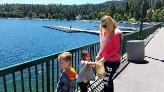 Feeding Ducks & Fish