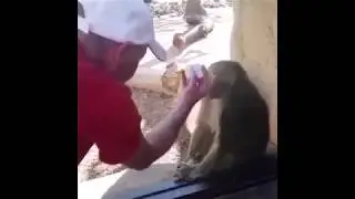 Он гребанный волшебник!