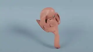 Blender geometry nodes - Curve deform (3.2 alpha)