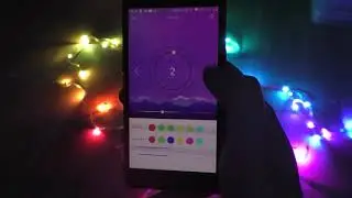 We control the garland on the ws2812 and the sp110e controller from a smartphone