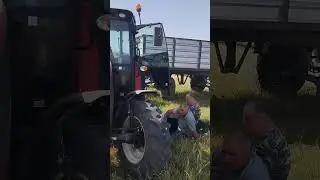 уборка урожая пшеницы сельское хозяйство