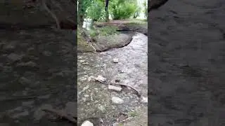 Неожиданное место на северо-чемском жилмассиве #новосибирск