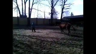 2016 03 15 Режели Подход