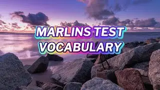 Marlins Test For Seafarer - Vocabulary